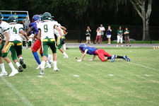 Enlarge photo 32