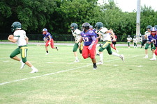 Enlarge photo 41
