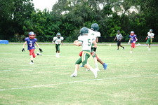Enlarge photo 40