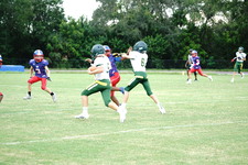 Enlarge photo 42