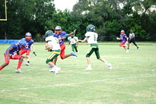 Enlarge photo 44