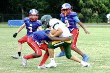 Enlarge photo 43