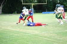 Enlarge photo 46