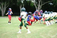 Enlarge photo 47