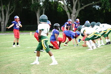 Enlarge photo 48