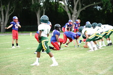 Enlarge photo 50