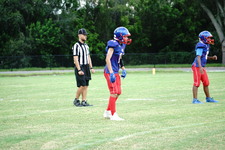 Enlarge photo 52