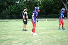 Enlarge photo 51