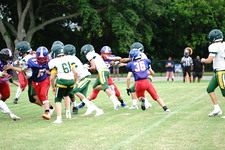 Enlarge photo 55