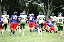 Enlarge photo 59