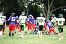 Enlarge photo 60