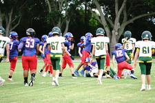 Enlarge photo 61