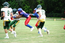 Enlarge photo 65