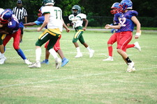 Enlarge photo 67