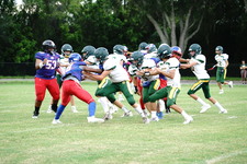 Enlarge photo 92