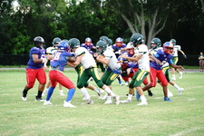 Enlarge photo 93