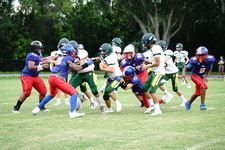 Enlarge photo 94