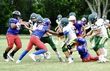 Enlarge photo 95