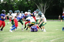 Enlarge photo 97