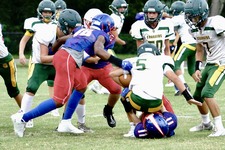 Enlarge photo 96
