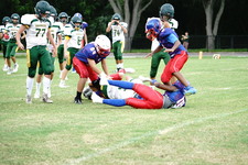 Enlarge photo 98
