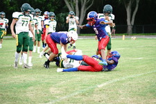 Enlarge photo 99