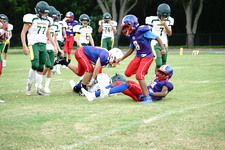 Enlarge photo 100