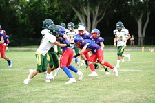 Enlarge photo 103