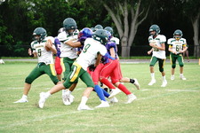 Enlarge photo 102