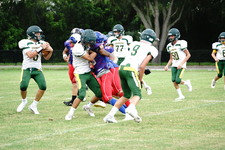 Enlarge photo 104