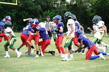 Enlarge photo 105