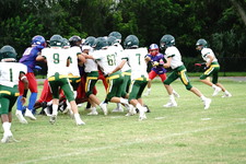 Enlarge photo 113
