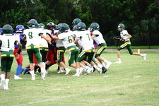 Enlarge photo 114
