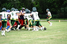 Enlarge photo 116