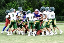 Enlarge photo 121