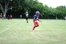 Enlarge photo 126