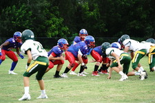 Enlarge photo 131