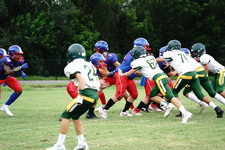 Enlarge photo 132