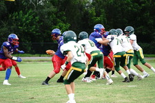 Enlarge photo 133