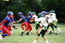 Enlarge photo 134