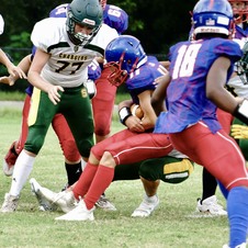 Enlarge photo 135