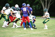 Enlarge photo 139