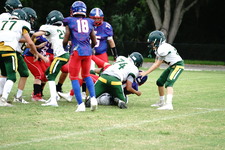 Enlarge photo 140