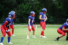 Enlarge photo 141