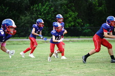 Enlarge photo 146