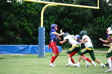 Enlarge photo 148