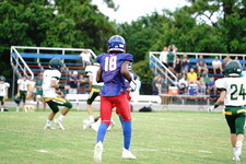 Enlarge photo 153
