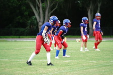 Enlarge photo 154