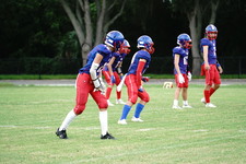 Enlarge photo 156