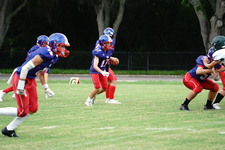 Enlarge photo 157